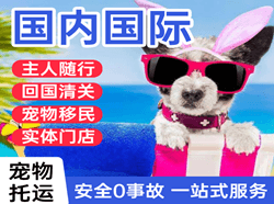 惠州机场托运国际宠物托运 【国